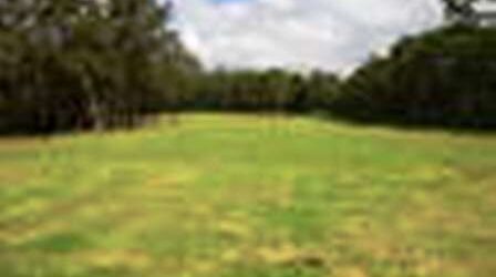 20 ACRES - USABLE LAND 105 BRADDOCKS RD, ORANGEVILLE